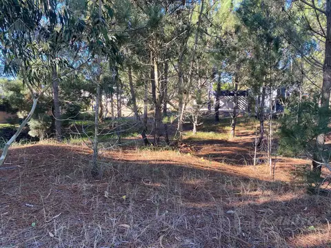 Ruta 11 km 380