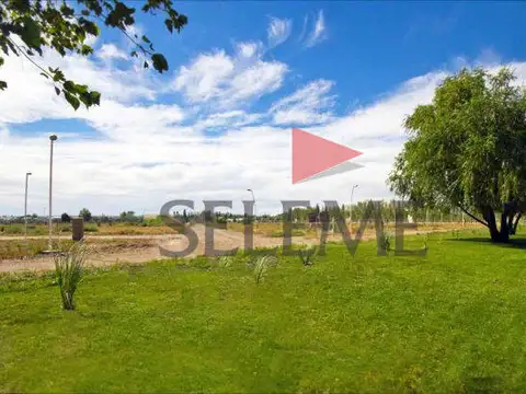 Inspector Gatica 2800