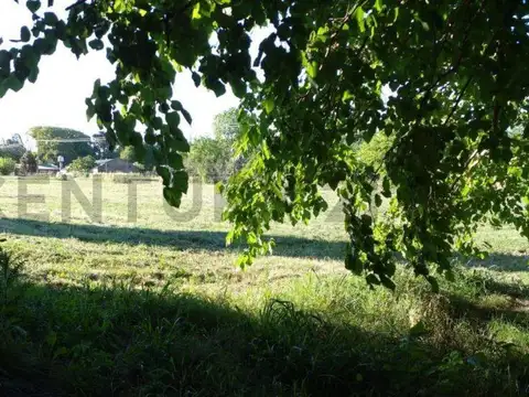 Lote de 903m² en Venta en Villa Elisa, La Plata