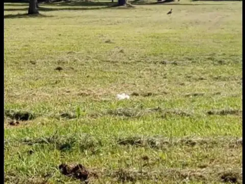 Terreno en Venta en Arroyo Leyes, USD 26.000