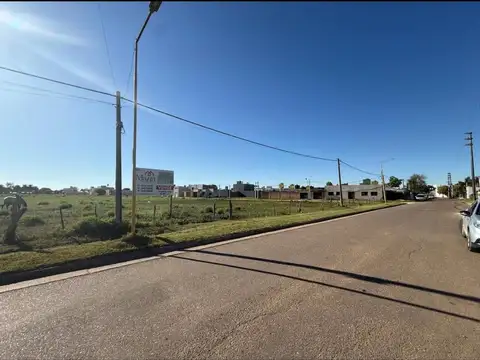 Magnasco Y Federacion