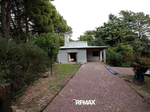 Curamalal y Martin Pescador 1100