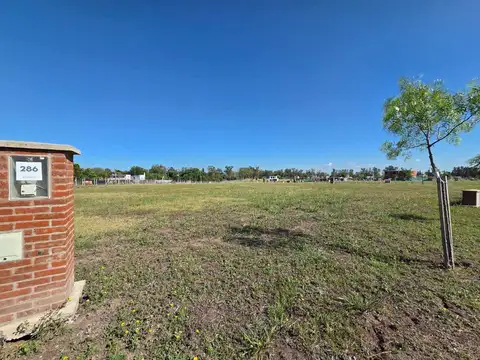 LOTE VENTA 524 METROS SANTA SOFIA PILAR DEL ESTE