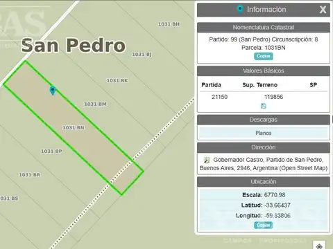 VENTA-12 HECTAREAS - 100% AGRICOLAS - GOBERNADOR CASTRO - SAN PEDRO - BUENOS AIRES