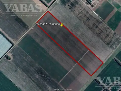 VENTA-12 HECTAREAS - 100% AGRICOLAS - GOBERNADOR CASTRO - SAN PEDRO - BUENOS AIRES
