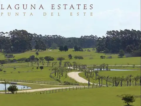 RUTA 104