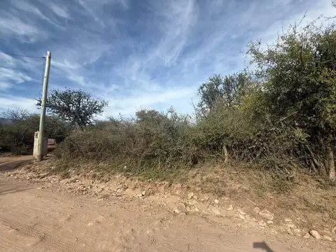 Pública