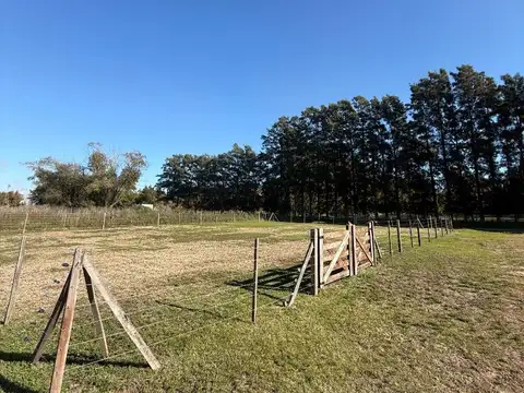Terreno en Venta de 827,0 m2