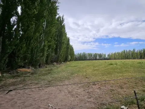 VENTA DE CHACRA CON CASA NIVEL GERENCIAL