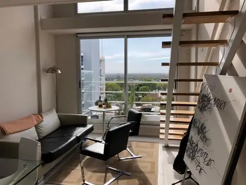 19 De Marzo 855 , Piso 7