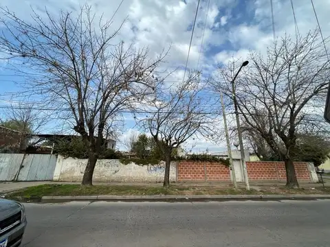 VENTA