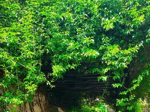 Casa en Venta en Mar de Ajo, USD 84.000