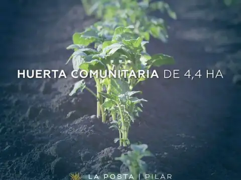 Lo Posta, Pilar