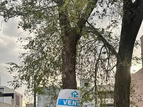 Terreno en Venta 25  mts Fondo