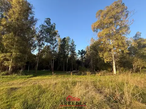 Terreno en Venta 75  mts Fondo