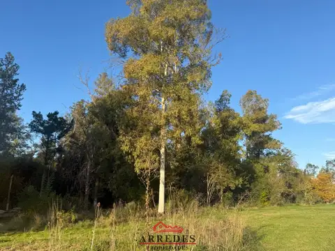 Terreno en Venta de 7650,0 m2