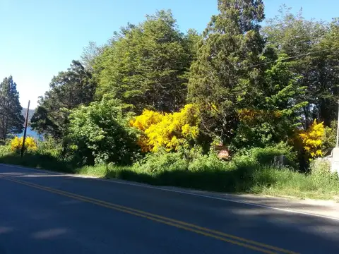 Hermoso terreno grande con costa de lago Nauel Huapi