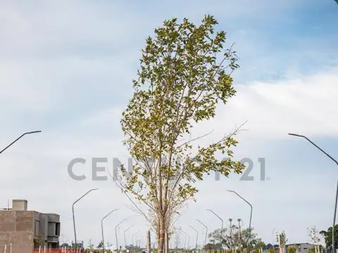 Venta de Lote en Barrio Ecotierra en Pueblo Esther