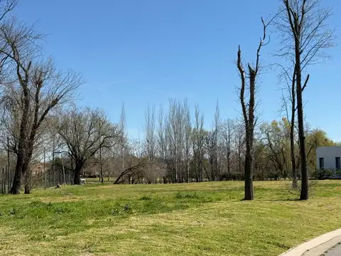 Terreno en Venta de 1687,0 m2