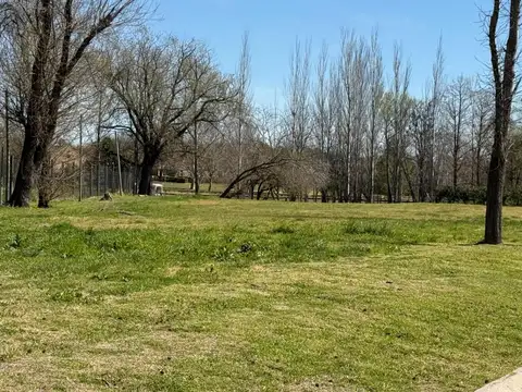 Panamericana Km56,5