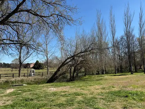 Terreno El Mylord, Pilará
