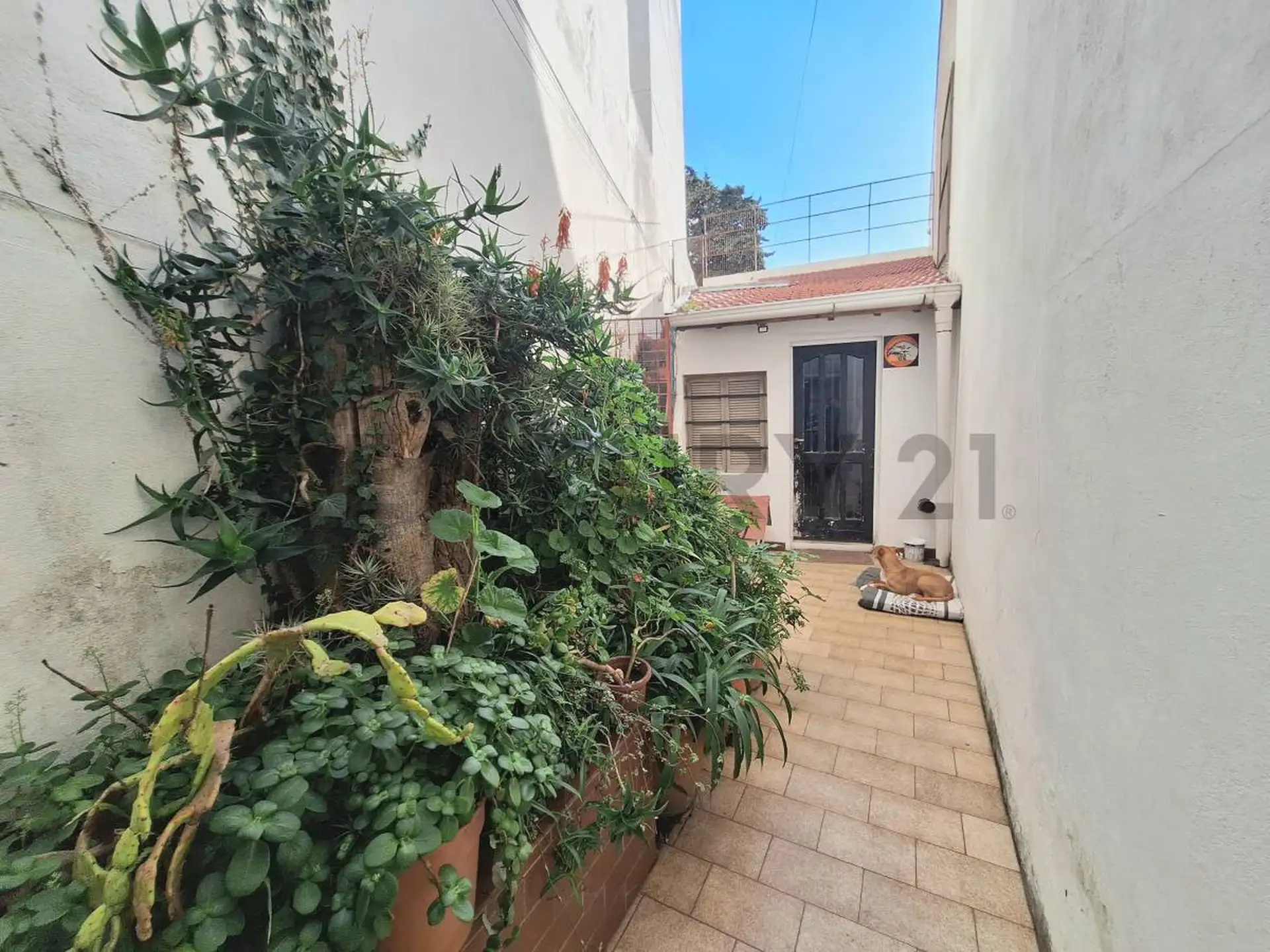 Casa 3 ambientes en zona Chauvin a reciclar