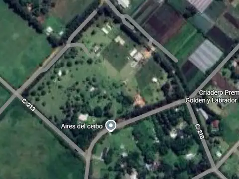 213 e/ 430 bis y 431