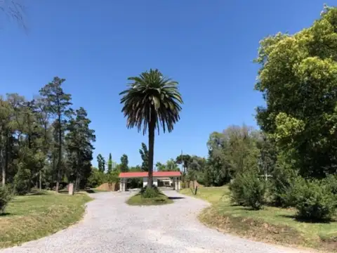 Adg. Lote En Santa Clara - Manzanares