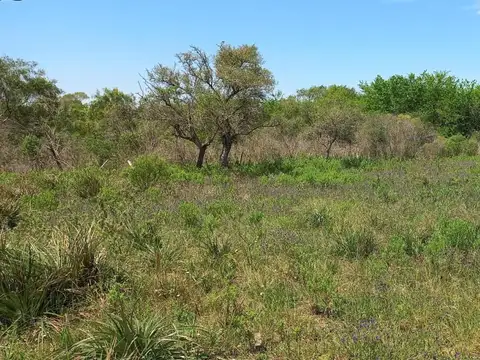 Amplio Lote En Venta!!! Ruta 18 - El Espinillo