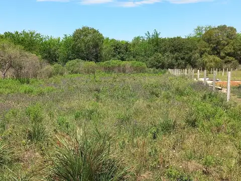 GRAN TERRENO EN VENTA! DE 1440 mts2!