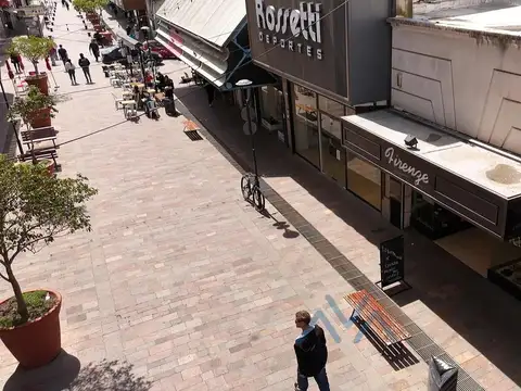 Local en Centro