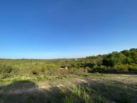 Tijereta