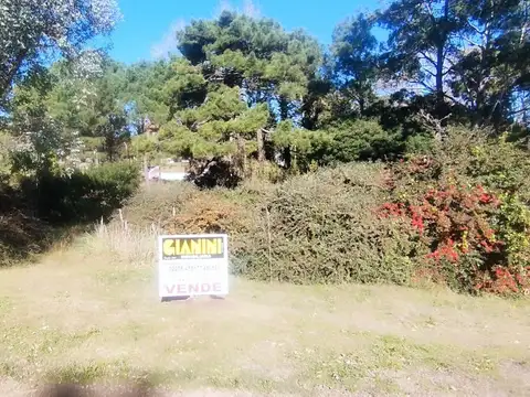 Venta Lote 1138m2 Camino Pioneros /Acceso Comercial Vivienda