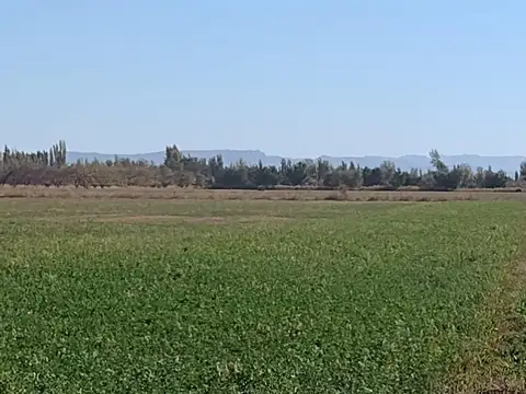 Quinta en Venta 2025 años