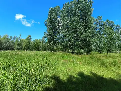 Rio o Arroyo Durazno Muelle EUREKA 100