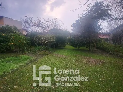 Del Trabajo 1159