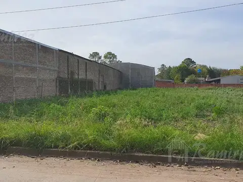 Pordomingo al 1200