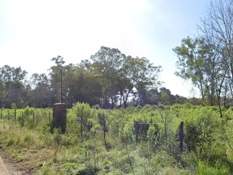TERRENO VENTA, 11695M2 EN PILAR DEL ESTE