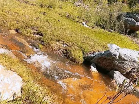 Campo en Venta de 160  ha