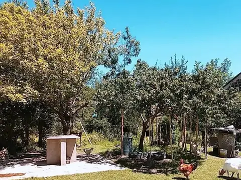 Campo en Venta de 160  ha