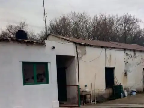 Campo en Venta Ganadero