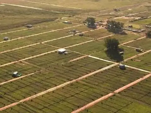 Terreno en Venta en General Rodríguez, USD 7.500