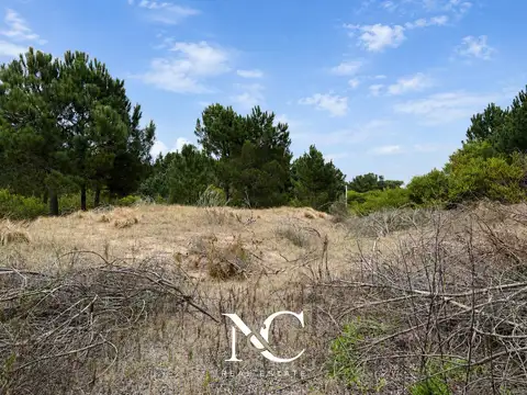 Terreno en Venta de 1145,0 m2