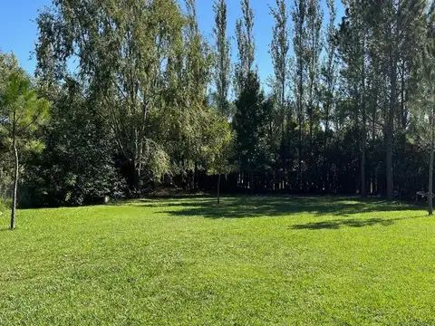 Rodriguez al 6200