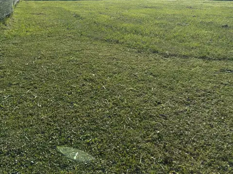 BARRIO SAN SEBASTIAN AREA 1