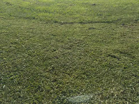 Terreno en Venta en Pilar, USD 32.000