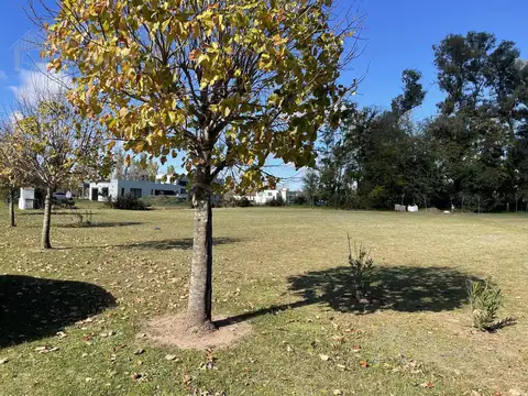 Terreno en Venta de 3000,0 m2