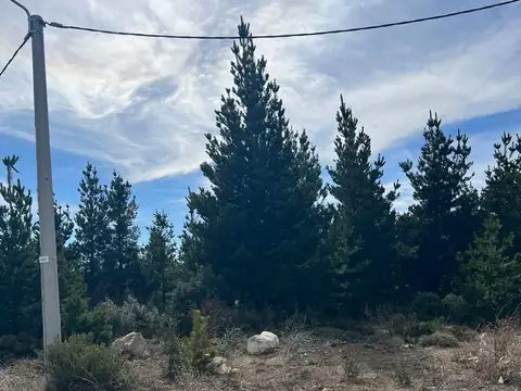 Hermoso lote en altura con vista  en los abedules