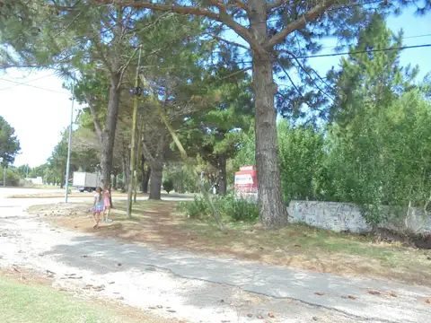 AV. SAN BERNARDO 100