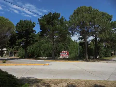 AV. SAN BERNARDO 100